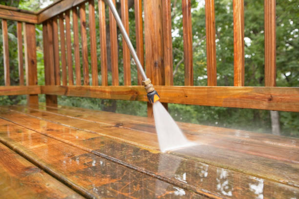 Best Best Pressure Washing Companies  in Ontonagon, MI